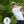2023 Masters