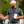 2023 Masters
