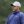 2023 Masters