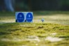 2023 Zurich Classic at TPC Louisiana