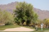 2023 NCAA Men's Golf Division I Championships