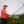 2023 KitchenAid Senior PGA Championship