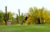 2023 NCAA Women's Golf Championship