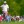 2023 PGA Championship