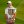 2023 PGA Championship