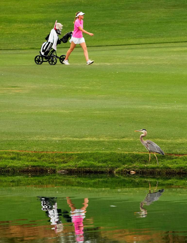 2023 NCAA Women's Golf Championships