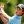 2023 NCAA Men's Golf Championship