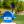 2023 NCAA Men's Golf Championship