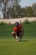 2023 National Golf Invitational