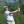 2023 NCAA Men's Golf Division I Championships