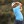 2023 U.S. Open