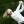 2023 Amundi Evian Championship