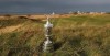 Claret Jug