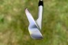 Titleist T100
