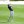 2023 John Deere Classic