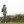 2023 Open Championship