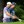 U.S. Open