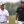 Open Championship