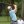 2023 FedEx St. Jude Championship