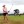 2023 AIG Women's Open