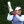 2023 AIG Women's Open