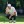 2023 BMW Championship