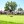 2023 U.S. Amateur