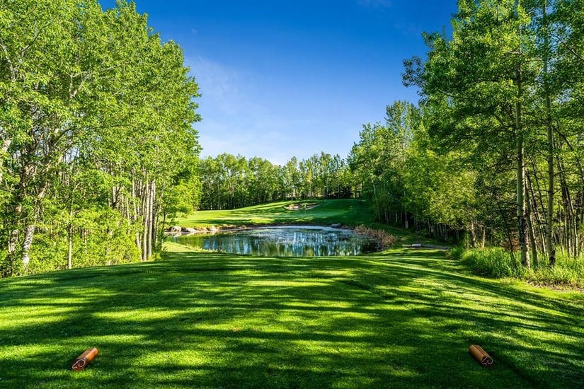 $13.95 million Canadian home
