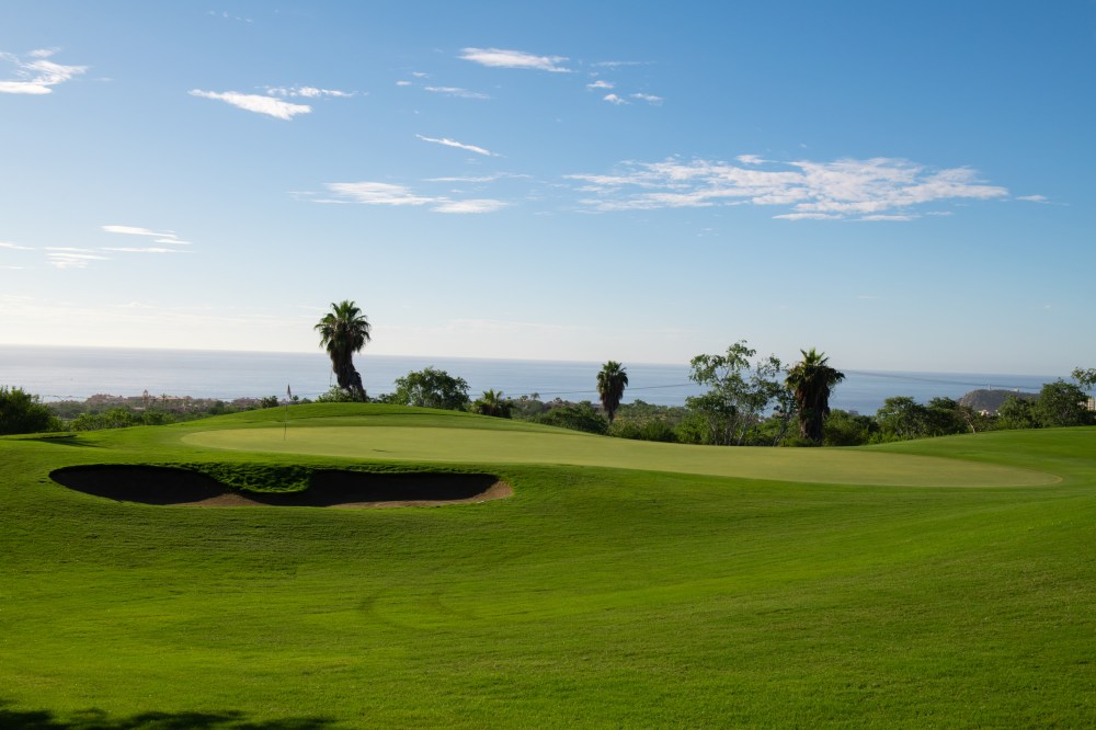 Cabo Del Sol Course