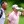 2023 Wyndham Championship