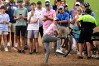 2023 Wyndham Championship