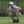 2023 Wyndham Championship