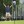 2023 LIV Golf Greenbrier