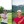 Nick Dunlap, Tiger Woods