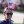 2023 Solheim Cup
