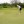 Golf instruction: Try this putting drill to master speed and break