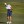 2023 Shriners Children's Open
