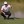 2023 Shriners Children's Open
