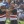 2023 Ryder Cup