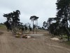 Olympic Club Lake Course