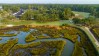 Pawleys Plantation