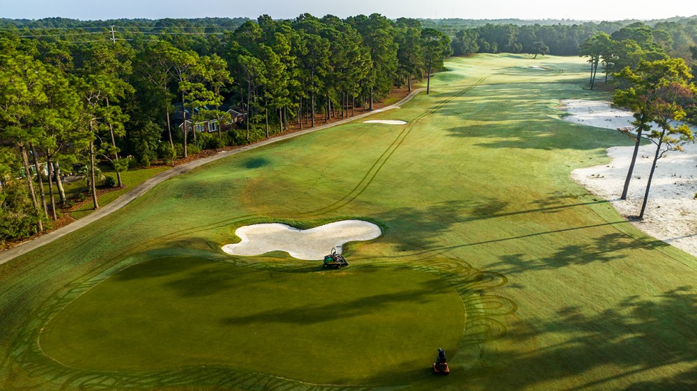 Pawleys Plantation