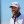 LIV Golf Team Championship