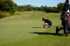 Scenes from the Golfweek International Junior Invitational. (Photo by Landon Ringler)