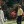 1980 Masters Tournament