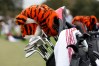 2023 PNC Championship