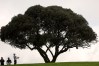 2024 Farmers Insurance Open