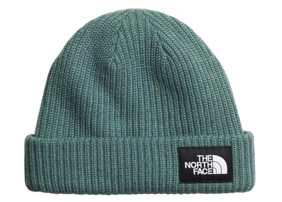 The North Face Salty Lined Beanie