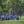 2024 LPGA Drive On Championship