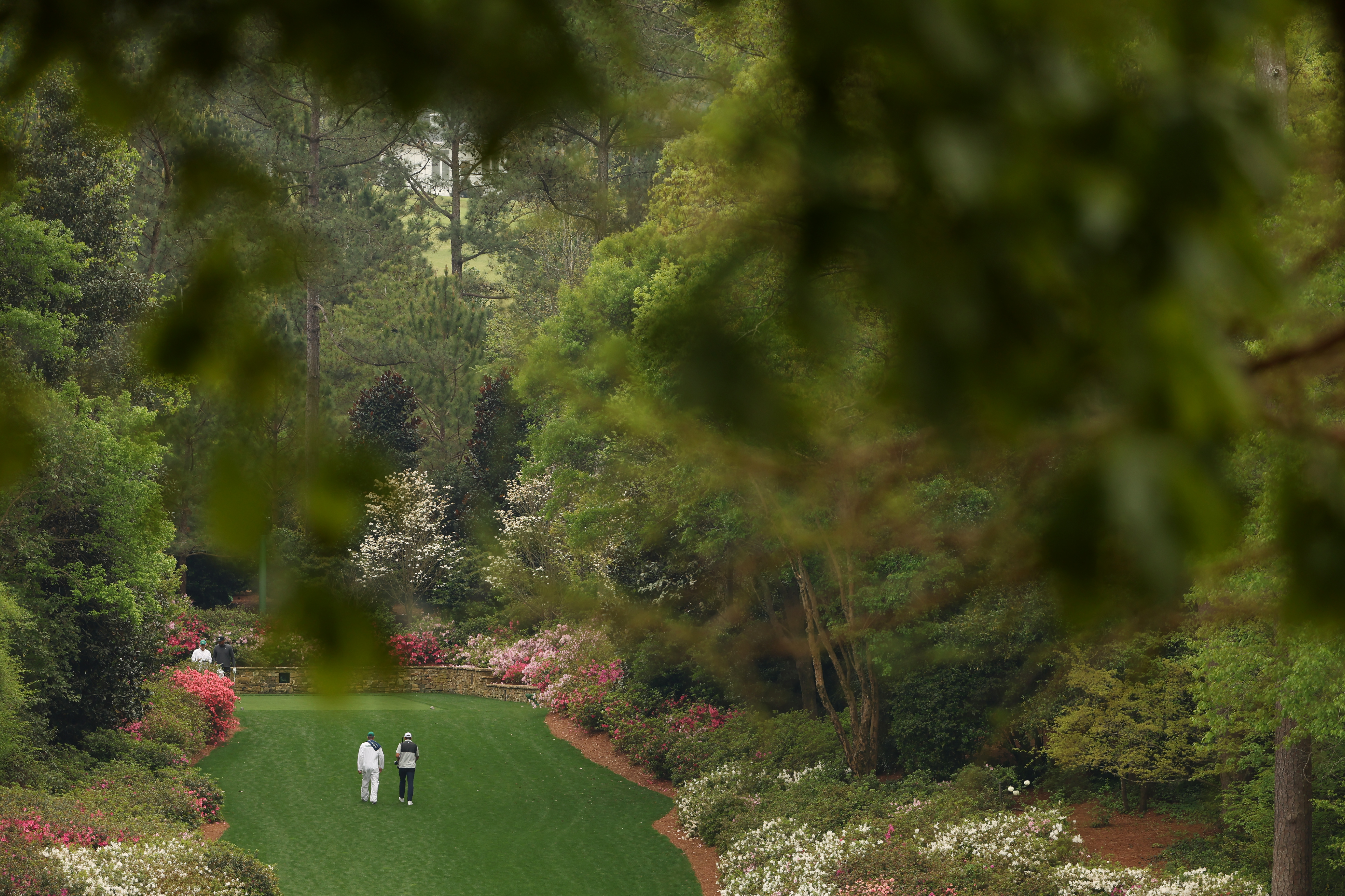 2023 Masters